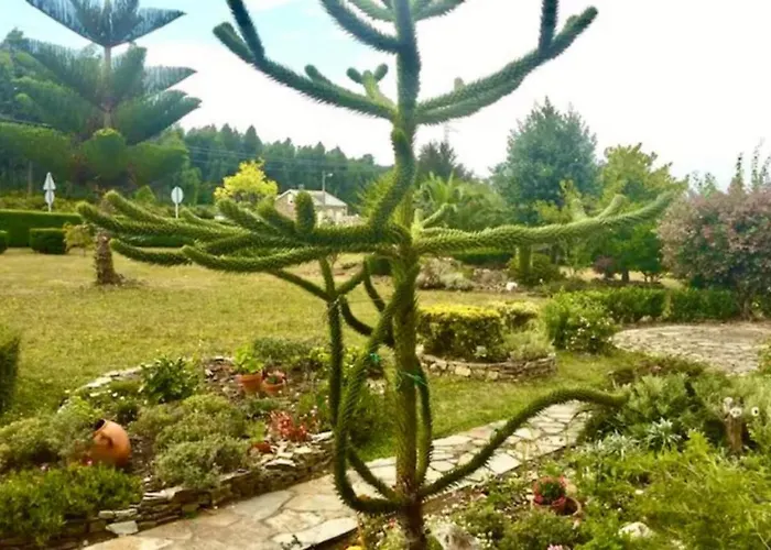 Casa De Pepa En