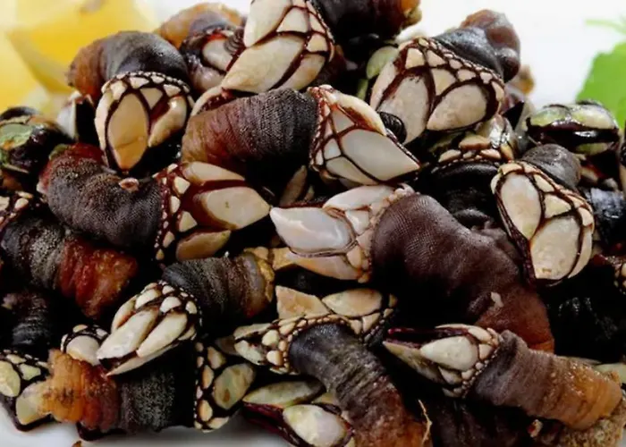 Casa De Pepa En * Ribadeo